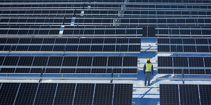 solar panels in a field during winter